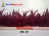 bulu ayam lancip BAL 24 - feather medium.jpg